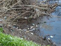 Imagine atasata: g3.jpg